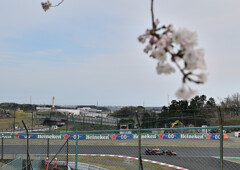 F1と桜