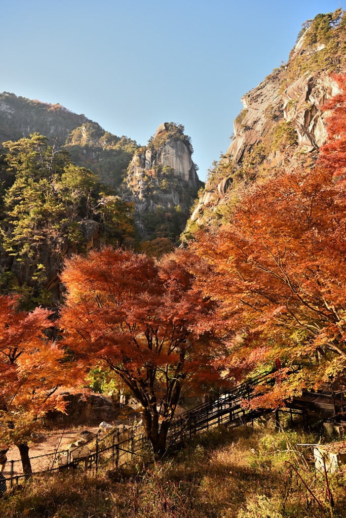 赤く、紅く、朱く