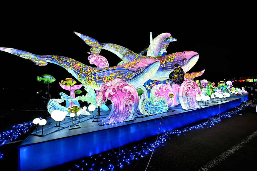 クジライルミネーション