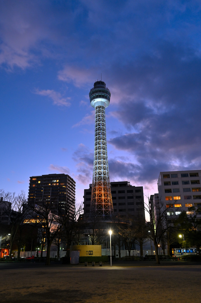 夕闇横浜マリンタワー