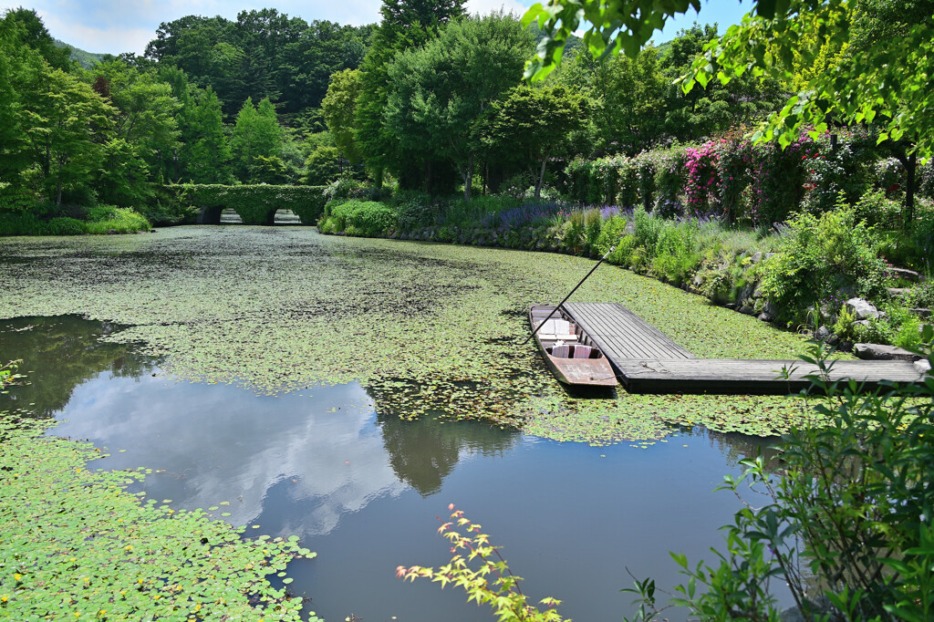 水辺の風景