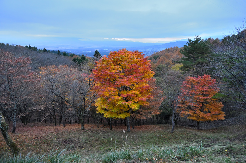 二重曲峠の紅葉