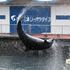 スプラッシュ