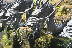 九頭龍
