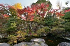 the 日本庭園