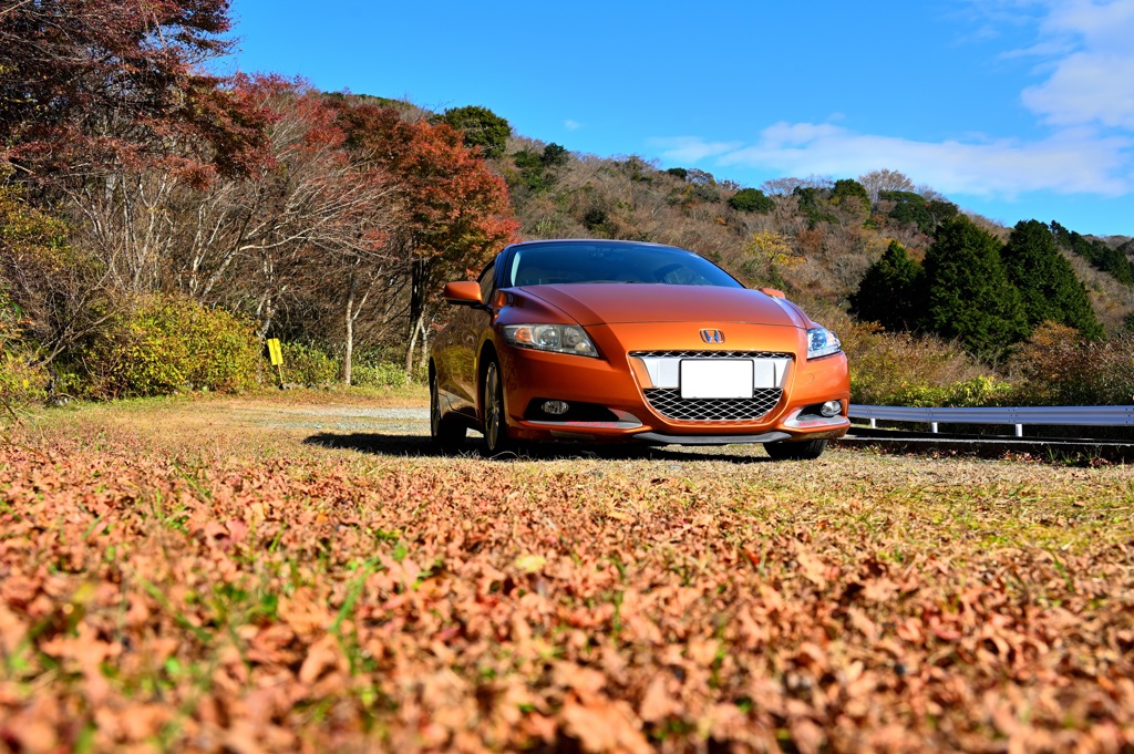 紅葉と愛車