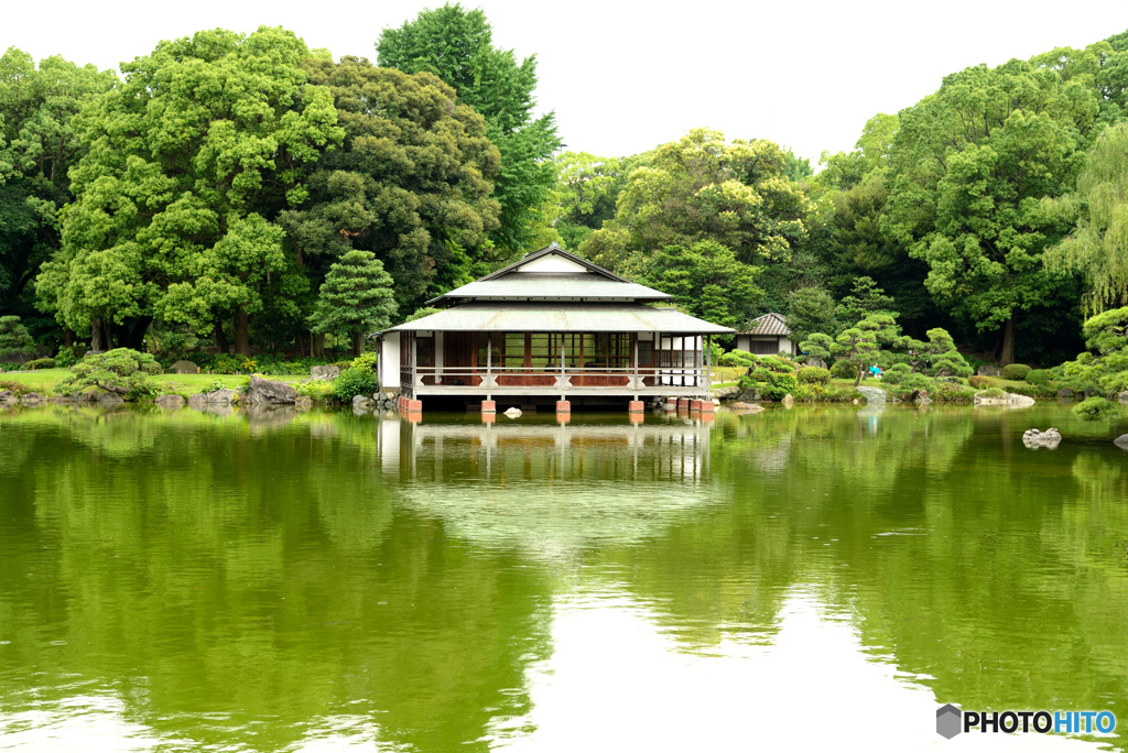 The 日本庭園