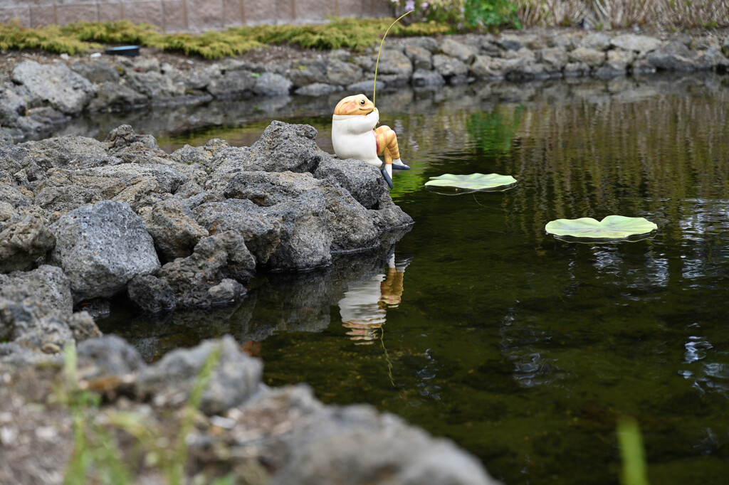 おとぎの国