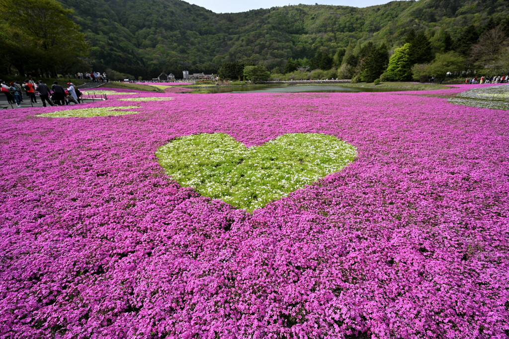 あえて緑で