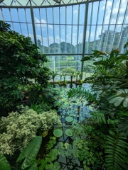 温室から見える風景