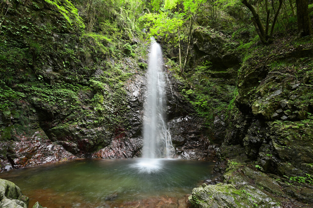 爽やか払沢の滝