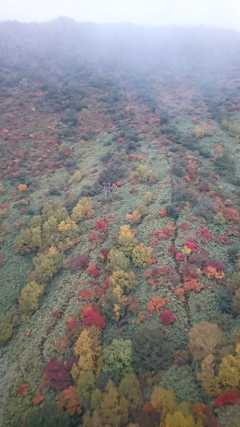 茶臼岳紅葉