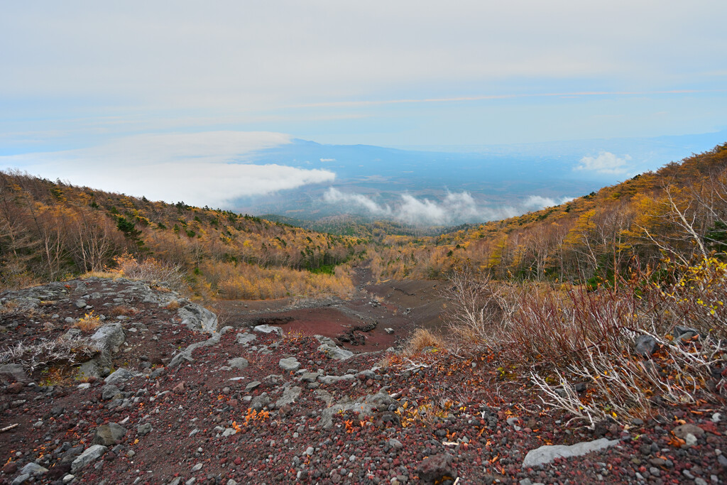 富士山の紅葉