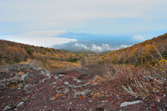 富士山の紅葉