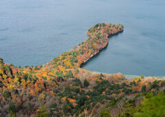 八丁出島の紅葉