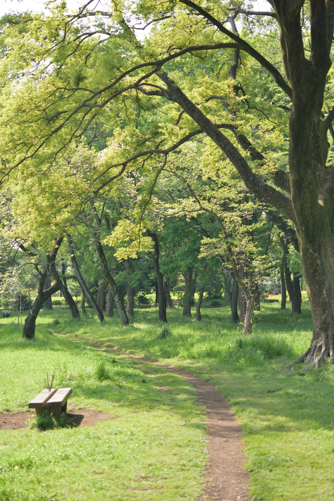 平和な公園