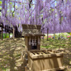 藤の花と祠
