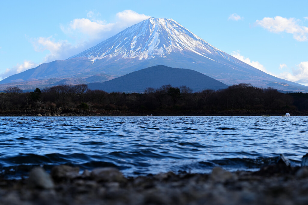 精進湖から見る富士