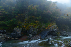 多摩川と紅葉