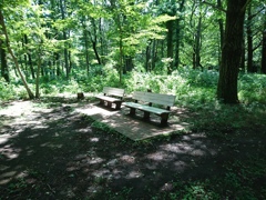 気持ち良さそうなベンチ