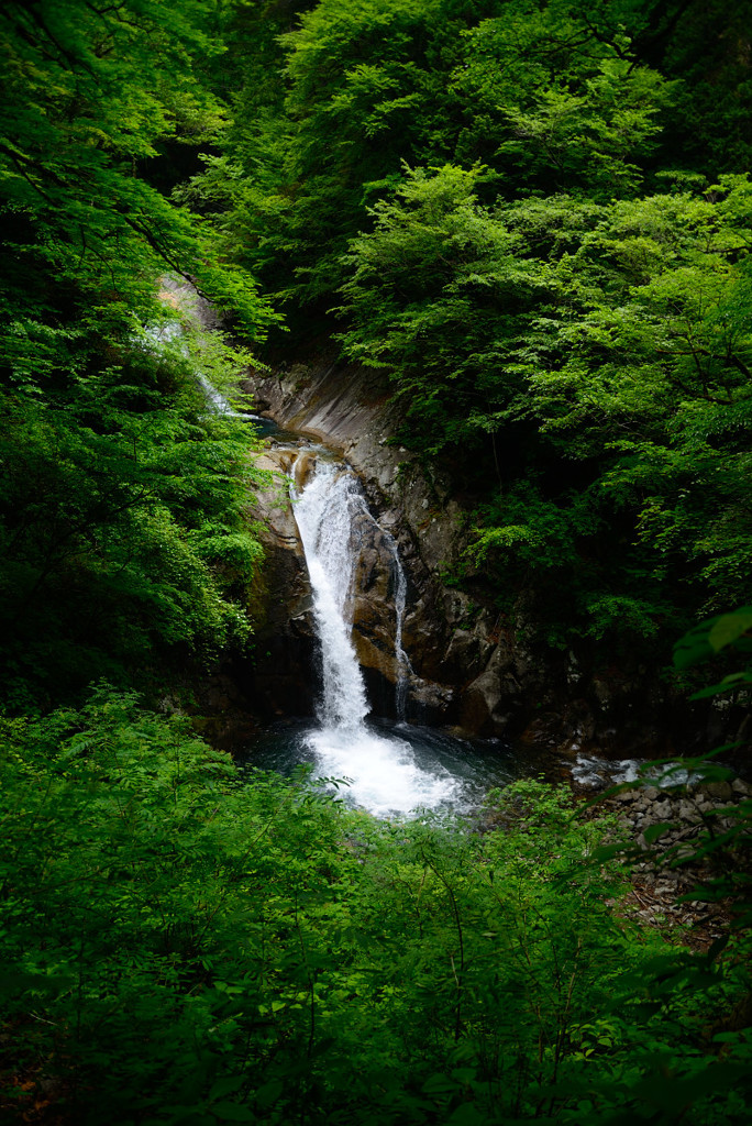 涼