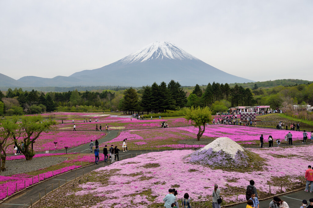 富士山と富士山