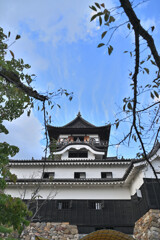 青空と犬山城