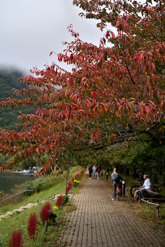 紅葉小路