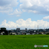 田んぼと夏の雲