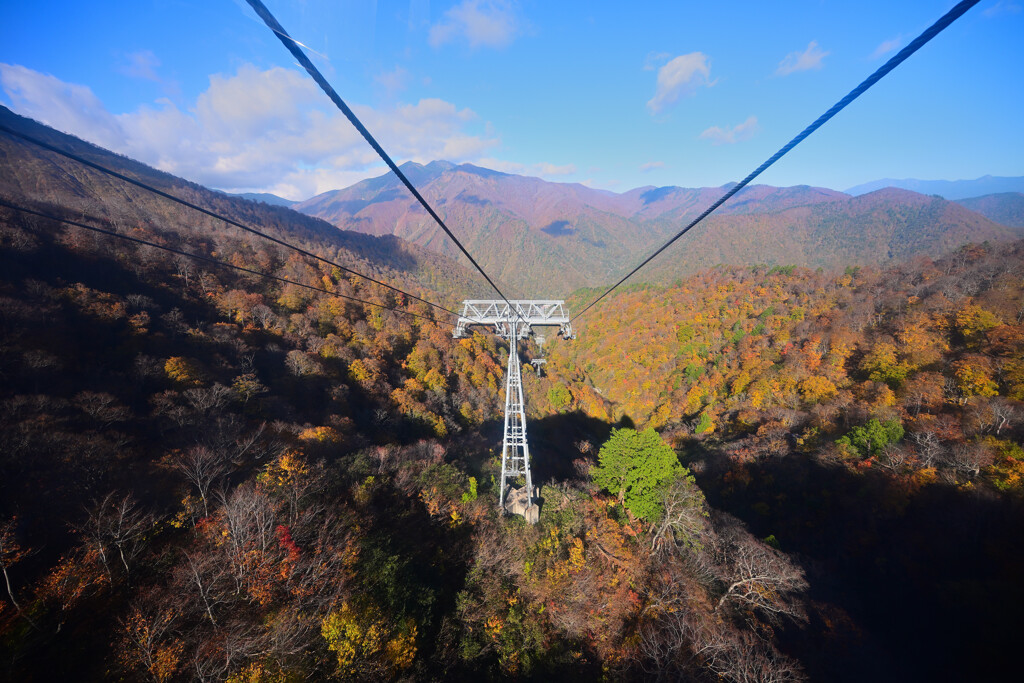 ロープウェイからの景色