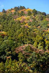 化粧する山