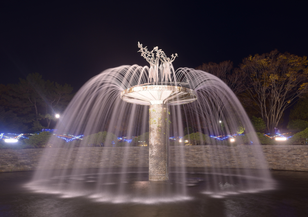 夜の噴水ショー