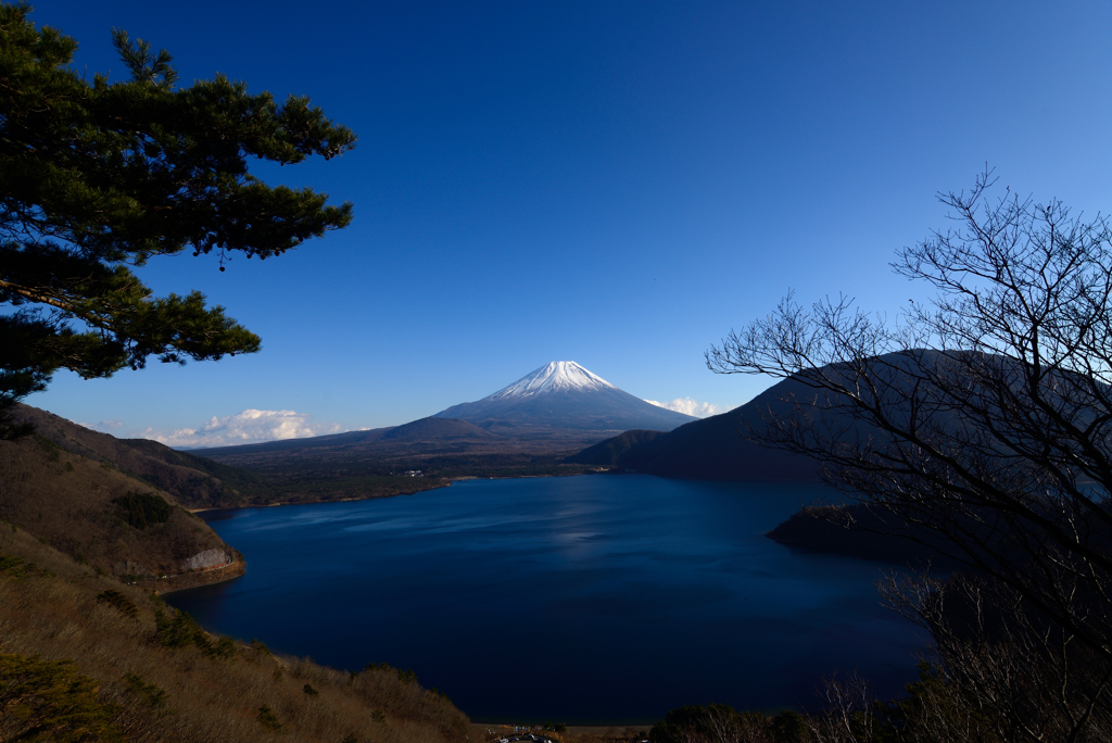 1000円札の富士山