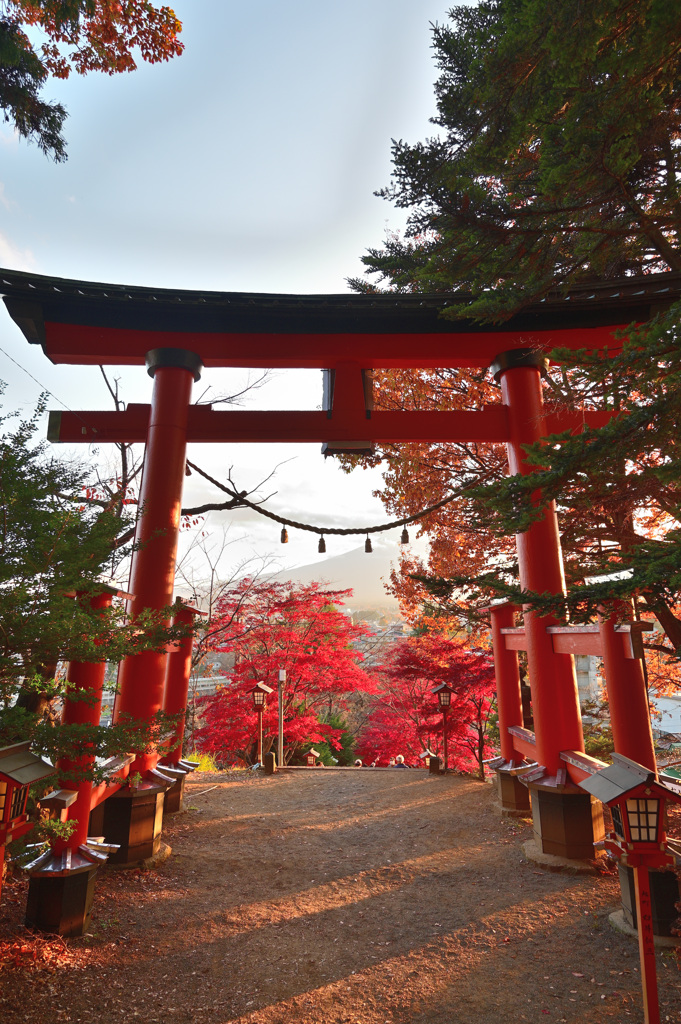 鳥居と紅葉