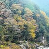人間なんてちっぽけです