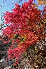 昇仙峡で見た紅葉