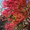 昇仙峡で見た紅葉