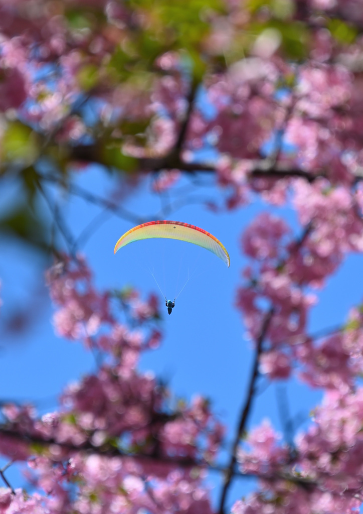 眺めはいかがですか？