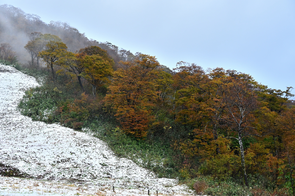 谷川岳の紅葉と雪①