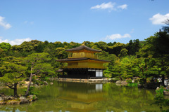 青空の下の金閣寺
