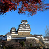 元旦白鷺城
