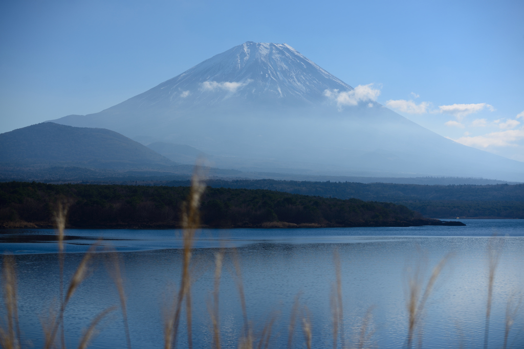 富士山　from 本栖湖