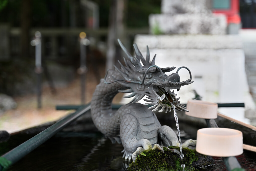 赤城神社の龍