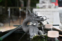 赤城神社の龍