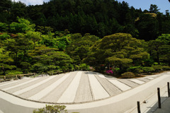 庭園