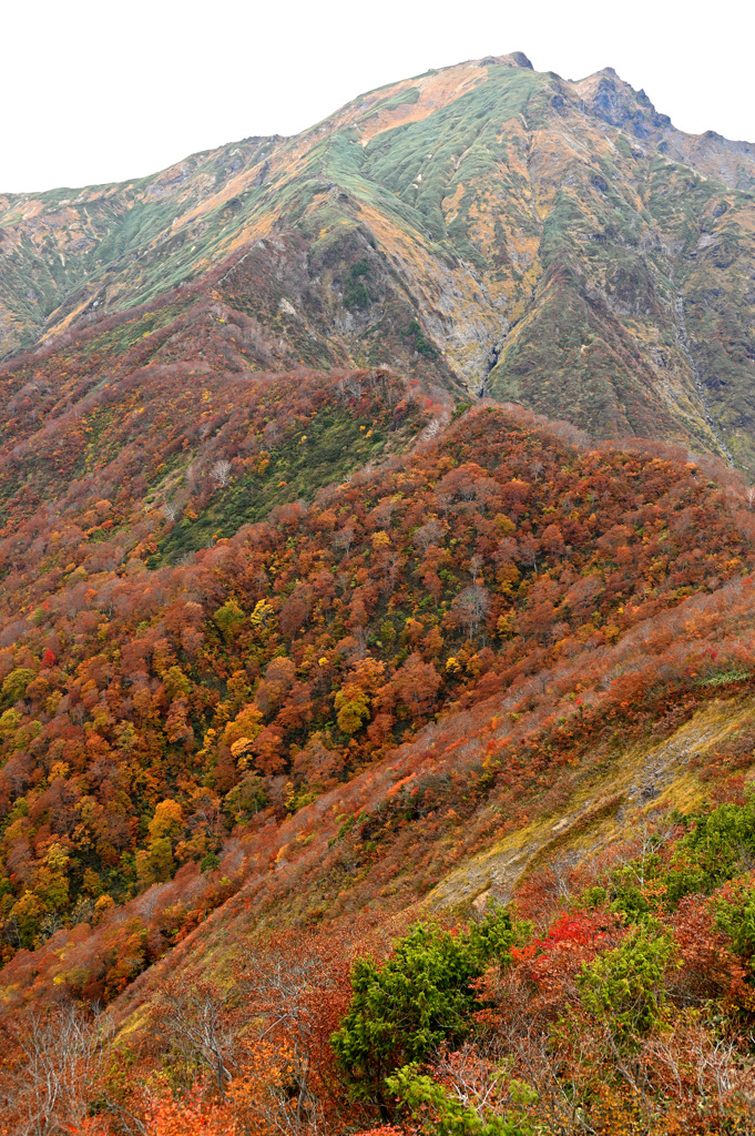 谷川岳燃ゆる