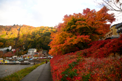 秋の河口湖