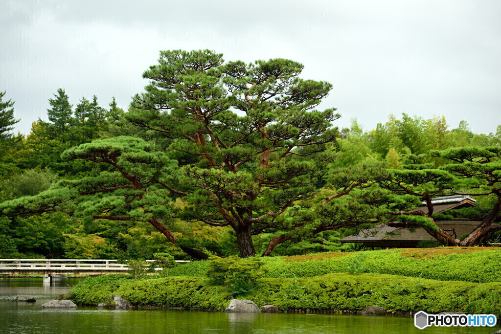 昭和記念公園②