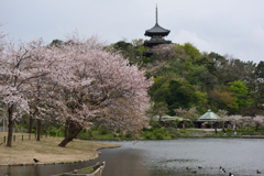 古代からの風景