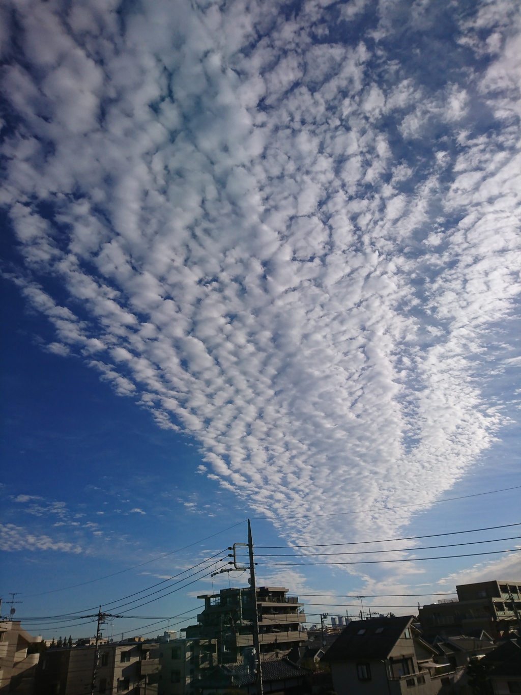 爽やか秋の空